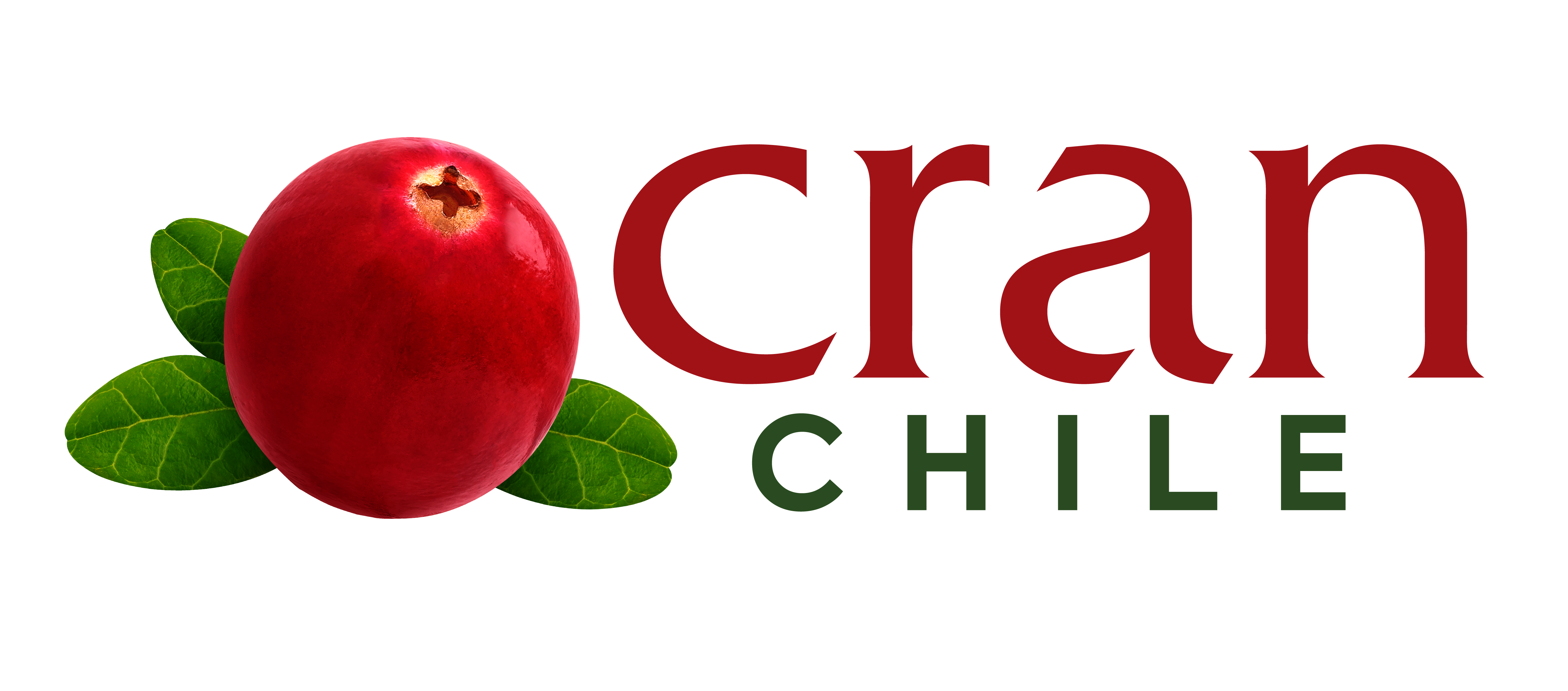 CRAN Chile, empresa de Chile