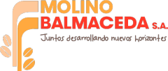 Molino Balmaceda, empresa de Chile